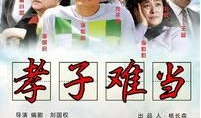 电视剧孝子演员表,温情演绎，感人至深的亲情故事